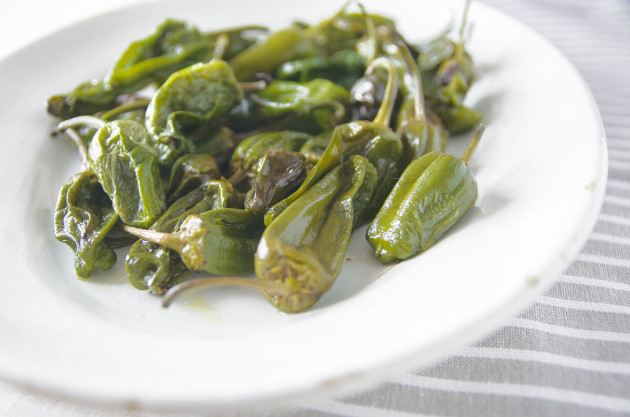 pimientos de padron