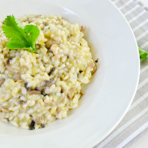 Risotto de Champiñones