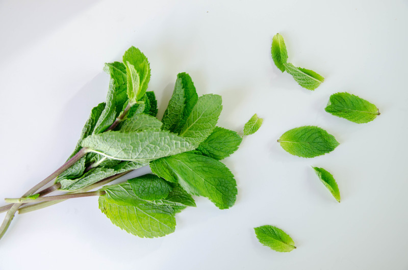 té frio con melocotón y menta