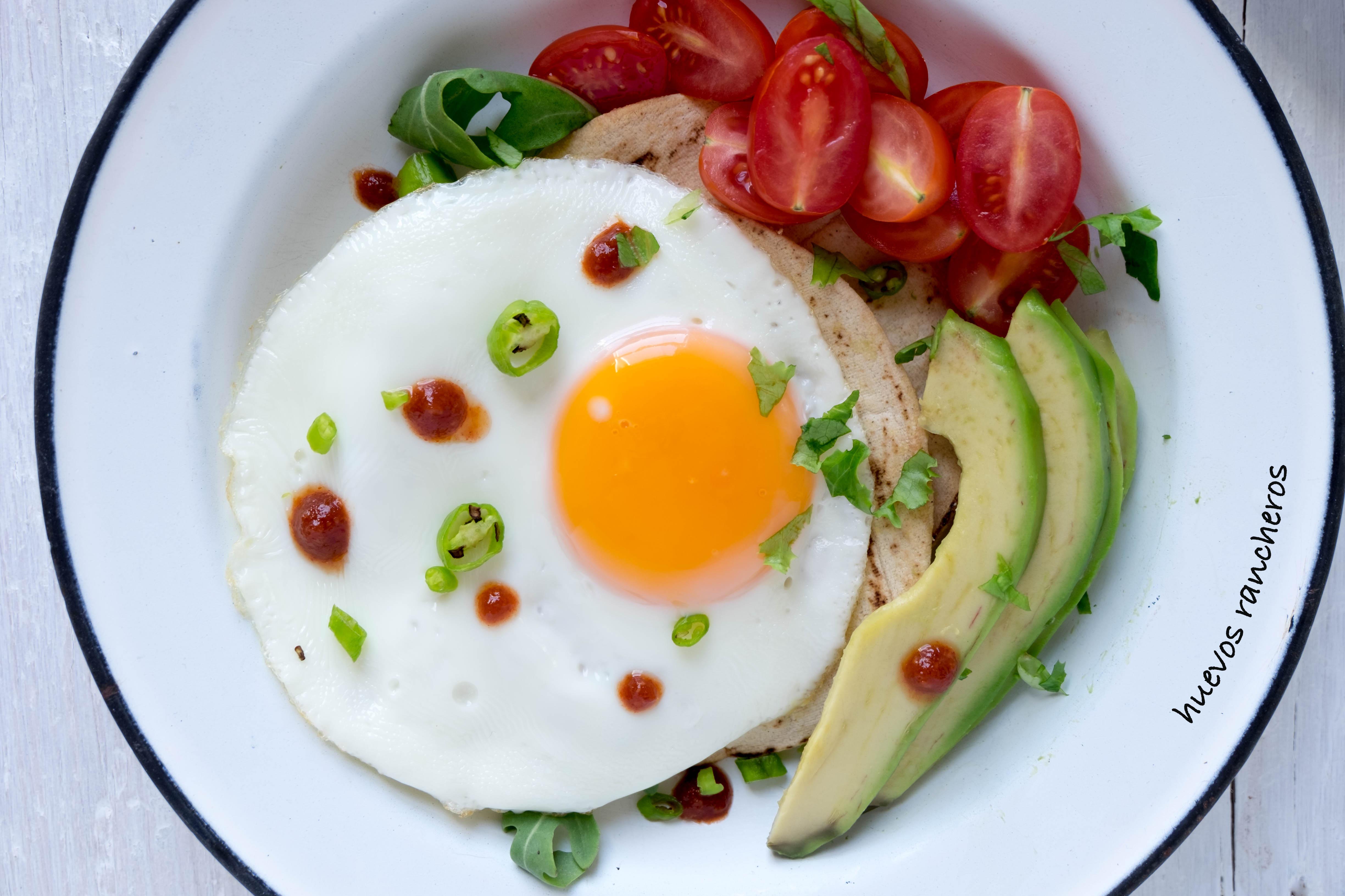 tostadas de huevos copia