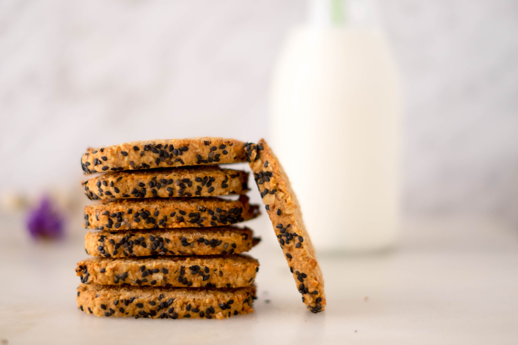 Galletas Integrales de Avena y Miso