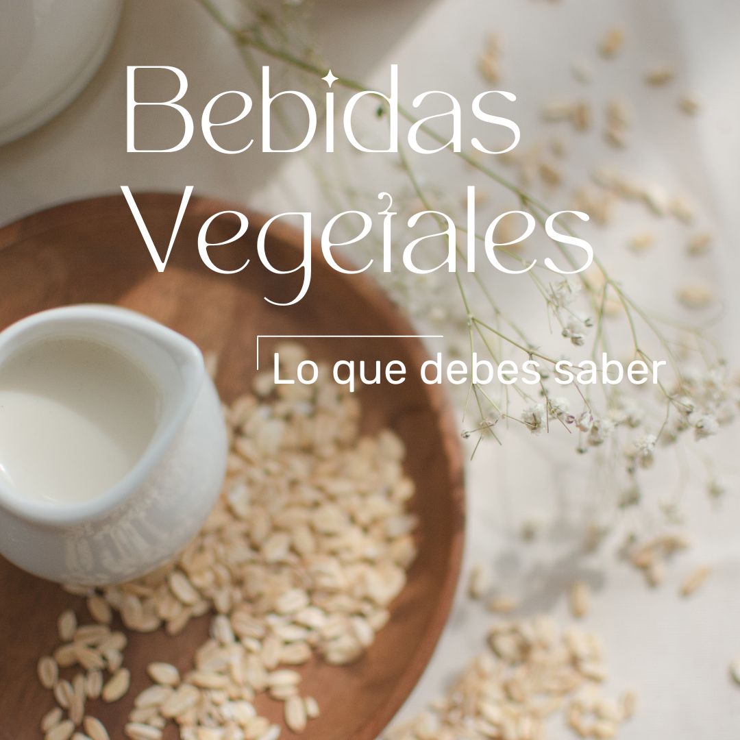 Bebidas vegetales ¿Cuál elegir?